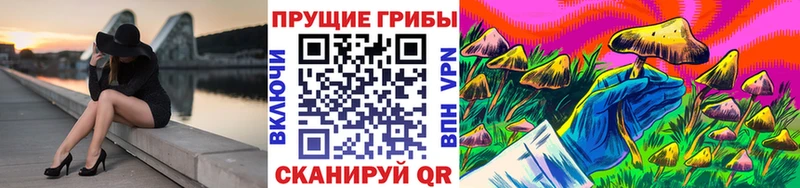 Галлюциногенные грибы ЛСД  Ивантеевка 